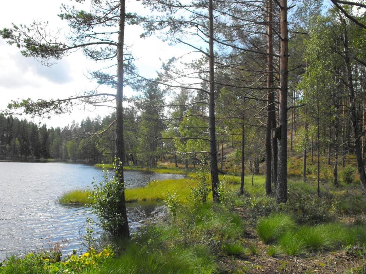 Cozy Lodge Near Brattforsheden Nature Reserve Filipstad Kültér fotó